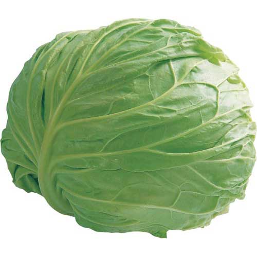 群馬県産 他国内産　きゃべつ　１個