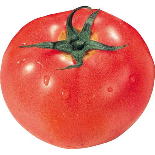 熊本県産　他国内産　とまと　１個