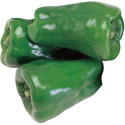 高知県産 他国内産　ピーマン　１袋(4～5個入り）