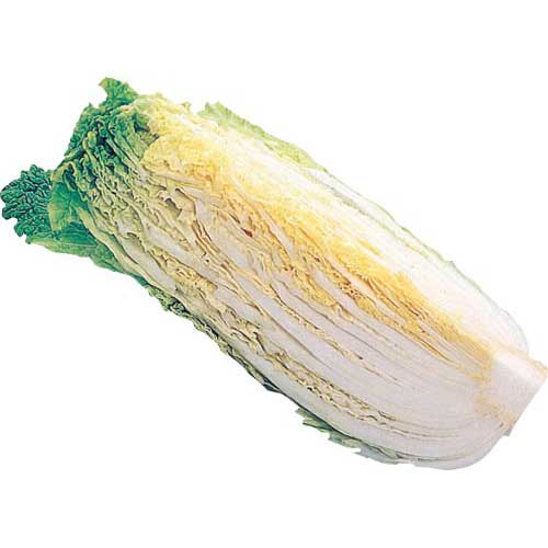 群馬県産 他国内産　白菜　１／４カット