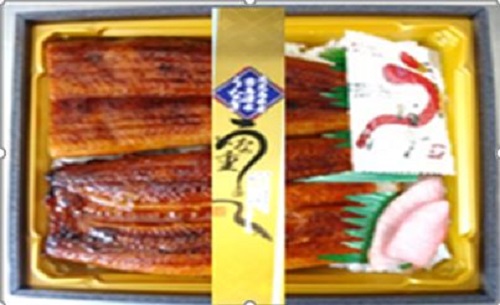 静岡県産姫うなぎ使用　特うな重（１尾）