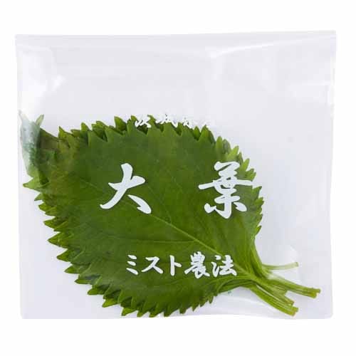 茨城県産 他国内産　大葉　１０枚１袋