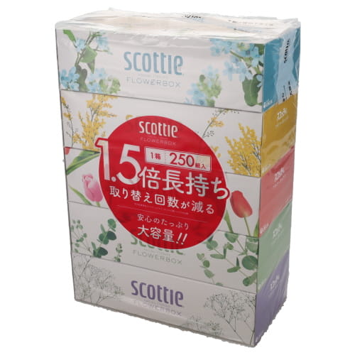 クレシア　スコッティフラワーボックス1箱２５０組　５Ｐ